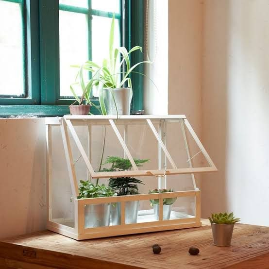 Indoor greenhouse